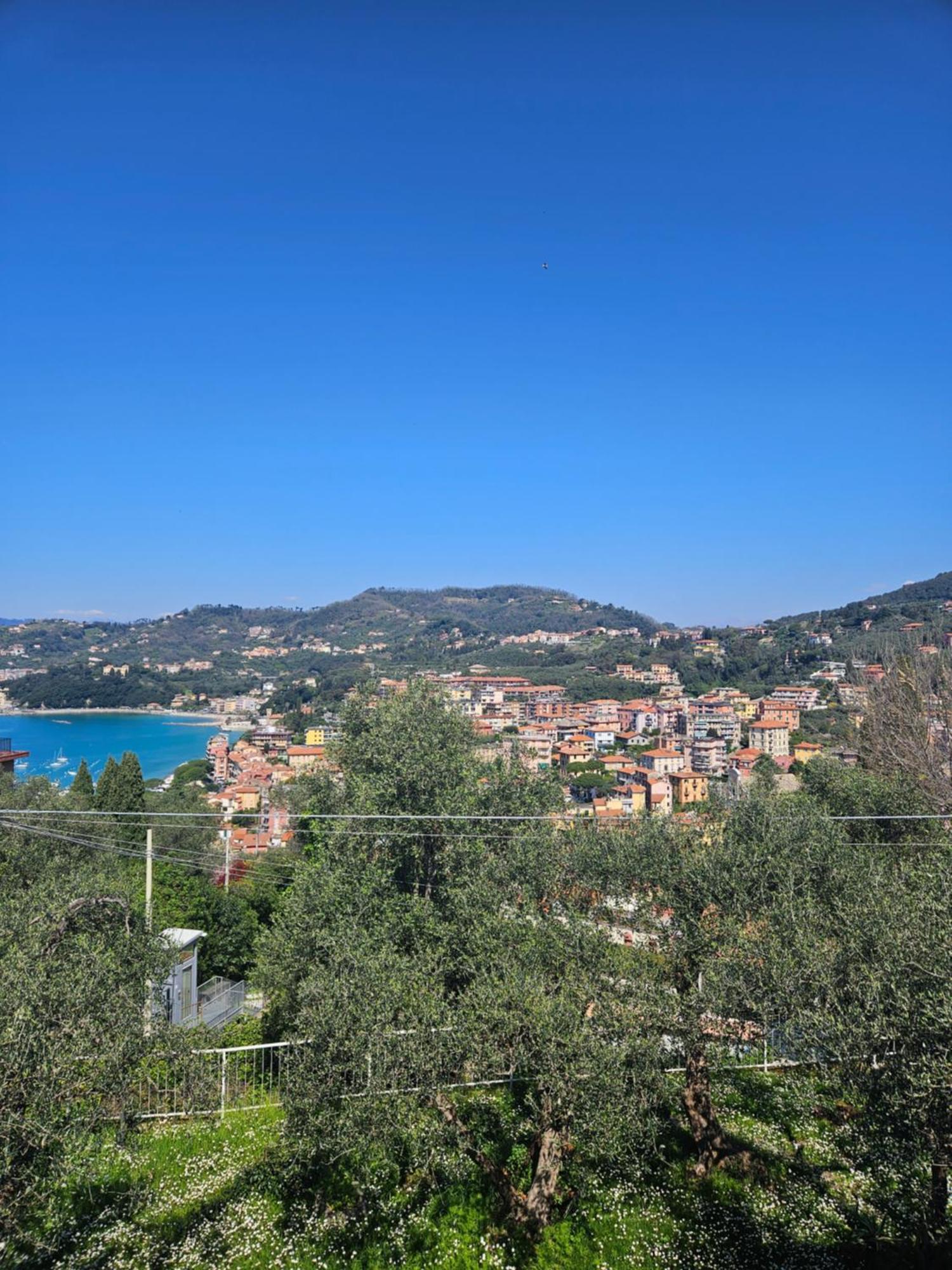 Villa Degli Ulivi - Free Parking Lerici Exterior foto